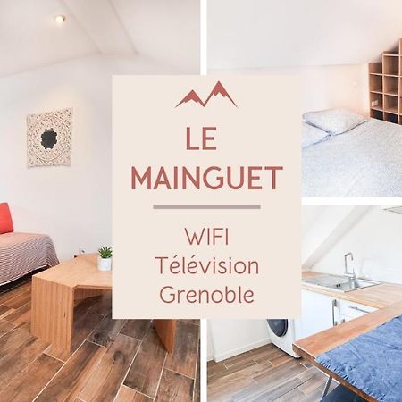 Le Mainguet - Appartement Cosy - Grenoble Eksteriør billede