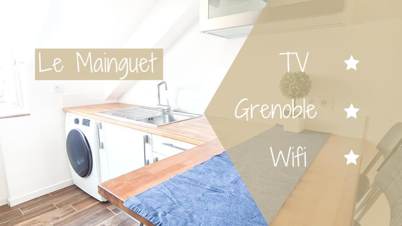 Le Mainguet - Appartement Cosy - Grenoble Eksteriør billede